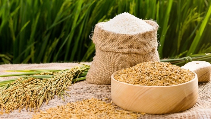 Giá lúa gạo hôm nay 23/5: Thị trường lúa gạo giao dịch trầm lắng